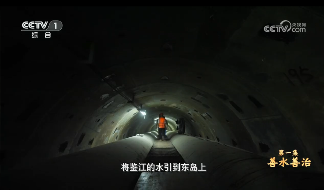 4-央視報(bào)道.png
